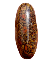 Load image into Gallery viewer, 13.65ct Dinosaur Bone Utah Fossilized Red Orange High Quality Cabochon