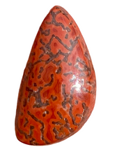 Load image into Gallery viewer, 13.30ct Dinosaur Bone Utah Fossilized Red Orange High Quality Cabochon