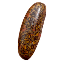 Load image into Gallery viewer, 13.65ct Dinosaur Bone Utah Fossilized Red Orange High Quality Cabochon
