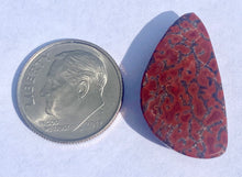 Load image into Gallery viewer, 13.30ct Dinosaur Bone Utah Fossilized Red Orange High Quality Cabochon