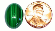 Load image into Gallery viewer, Malachite Cabochon Calibrated Natural From Congo