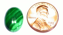 Load image into Gallery viewer, Malachite Cabochon Calibrated Natural From Congo