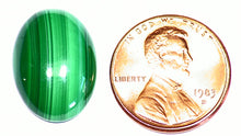 Load image into Gallery viewer, Malachite Cabochon Calibrated Natural From Congo