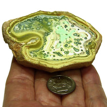 Load image into Gallery viewer, Variscite with Crandallite Little Green Monster Mine Clay Canyon Utah