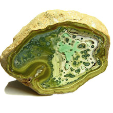 Load image into Gallery viewer, Variscite nodule from Little Green Monster Mine Utah
