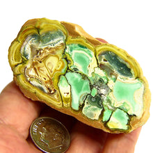 Load image into Gallery viewer, Rare Variscite from Clay County, Farifield, Utah
