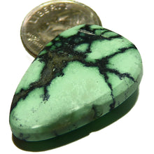 Load image into Gallery viewer, All natural green New Lander spiderweb turquoise