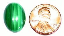 Load image into Gallery viewer, Malachite Cabochon Calibrated Natural From Congo
