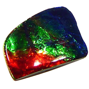 Large, multicolor Ammolite cabochon 
