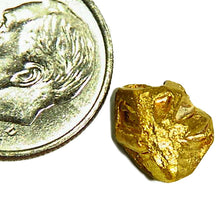 Load image into Gallery viewer, Highly collectible gold crystal specimen from Venezuela
