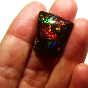 Natural Koroit Opal cab solid lots of fire and color