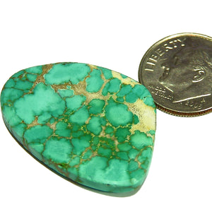 Collectible Turquoise Mountain cab solid with striking color